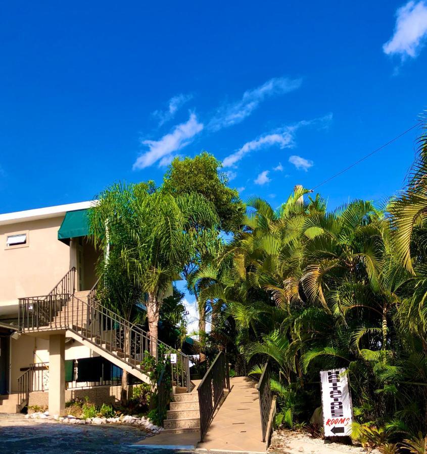 Tio Pepe'S Guest House Aibonito エクステリア 写真