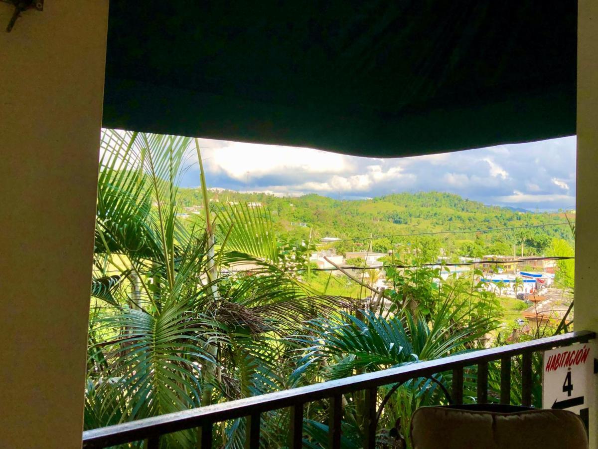 Tio Pepe'S Guest House Aibonito エクステリア 写真